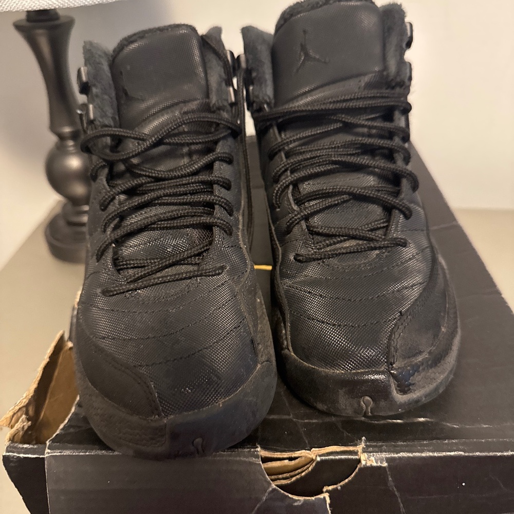 Air Jordan 12 retro wntr